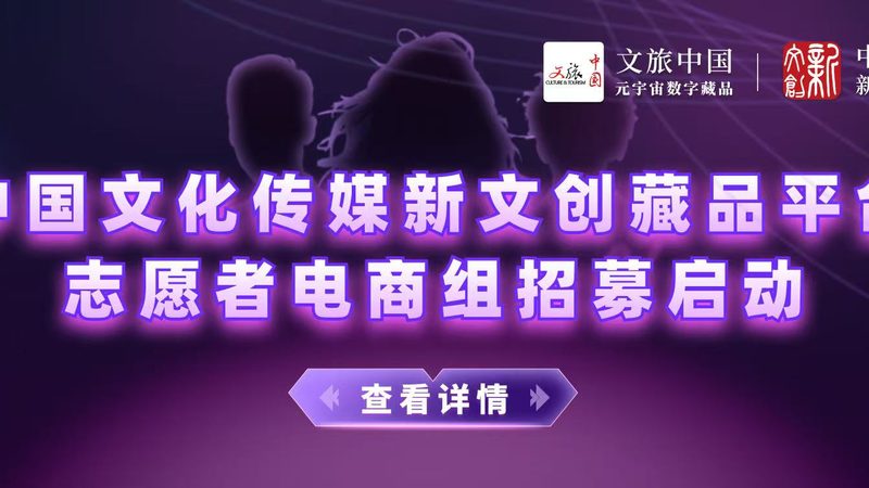 上海直播代运营公司资质：合规与选择的关键
